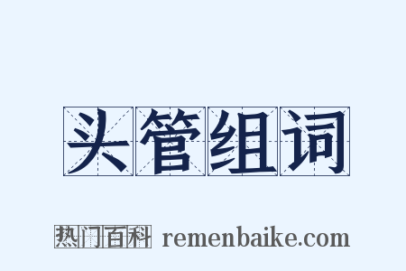 头管组词是什么意思的图片